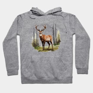 Deer And Forest Hoodie